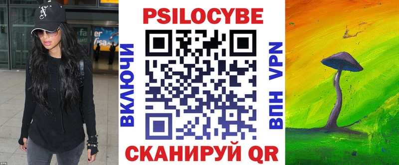 Купить где  Собинка  Галлюциногенные грибы Cubensis 