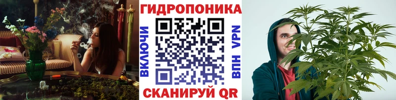 Бошки Шишки Amnesia Купить Собинка